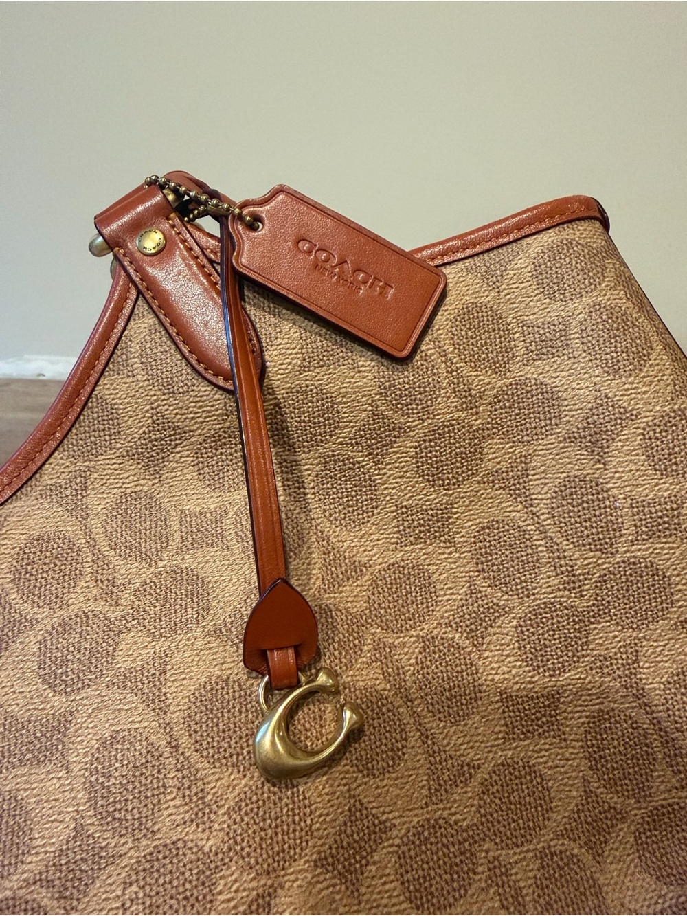 Coach Day Tote in Signature Canvas - Brass/Tan/Rust - Picture 4 of 12